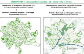 IDENTIFIER ET PRÉSERVER LES COMPOSANTES PAYSAGÈRES EN LIEN AVEC LA DÉFINITION DE LA TRAME VERTE ET BLEUE AU SEIN DU PLUI D'ANGERS LOIRE MÉTROPOLE