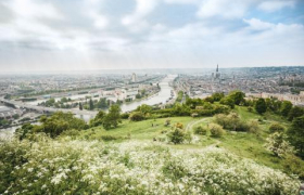 RESTAURATION ET GESTION DES COTEAUX DE LA MÉTROPOLE DE ROUEN, NOTAMMENT GRÂCE À L'ÉCOPÂTURAGE