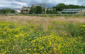 Des friches rendues à la nature, transformées en forêts ou en parcs cultivés et entretenus © G. Lemoine