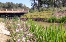 AMÉNAGEMENTS ÉCOLOGIQUES ET PAYSAGERS DES BERGES DE L'OISE À MAURECOURT