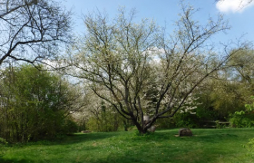 jardin de lanezay