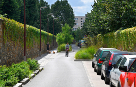 La chaussée a un profil en toit et les eaux pluviales sont dirigées dans les fosses de plantations où elles peuvent entrer grâce à des passages d’eau créés dans les bordures. Aménagement finalisé, rue Soeur Valérie, Asnières-sur-Seine (92)