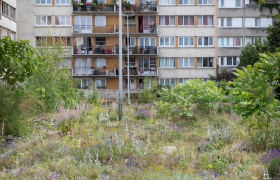 Jardin Joyeux Aubervilliers