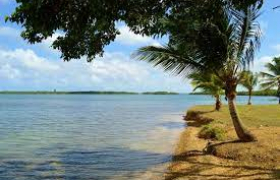 L’AIRE DE LA PLAGE DE BABIN, MORNE-À-L’EAU (971)