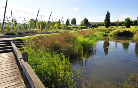 Parc de la Seille