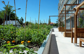 Création d’une ferme urbaine sur dalle dans le cadre d’un habitat participatif