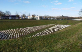 PLANTATION DES BASSINS DE GESTION D'EAUX PLUVIALES