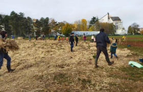 CONSTRUCTION PARTICIPATIVE D'UN BOISEMENT URBAIN