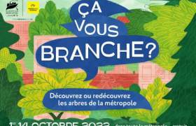 Festival ça vous branche ?