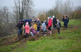 PLANTATION PARTICIPATIVE D'INFRASTRUCTURES BOCAGÈRES