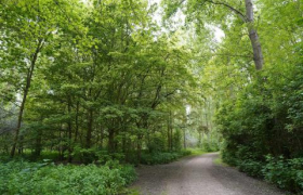 ORIENTATION D'AMÉNAGEMENT ET DE PROGRAMMATION THÉMATIQUE "PAYSAGE ET BIODIVERSITÉ" DU PLUI-HD DE LA CUD