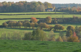 PRISE EN COMPTE DES ARBRES ET DES HAIES DANS LE PLUI