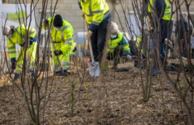 PROGRAMME "PLANTONS 1 MILLION D'ARBRES" EN 10 ANS