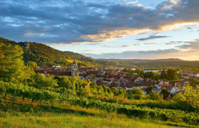 Arbois Poligny Salins Cœur du Jura