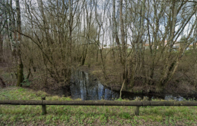 Renforcement des réseaux écologiques urbains à travers l’acquisition foncière