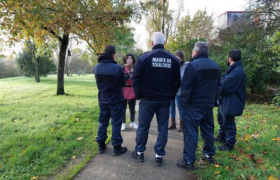 Des nichoirs dans la ville