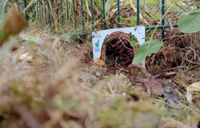 Route des Hérissons