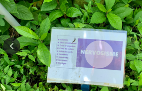 Plantothèque