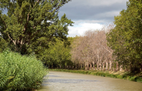 Canal du Midi