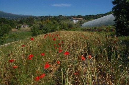 Mouans-Sartoux