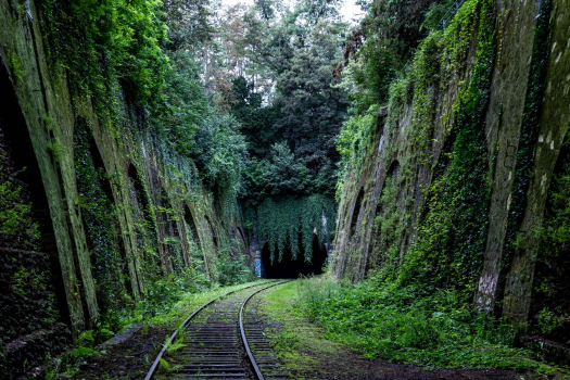 Petite Ceinture de Paris