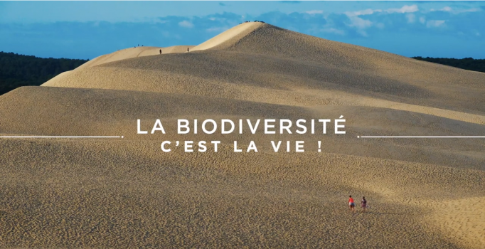 Biodiversité c'est la vie