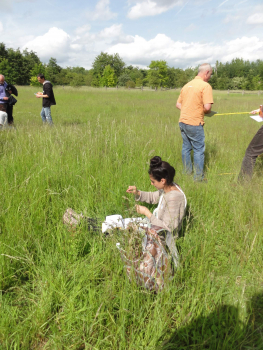 Florilèges prairies 2015