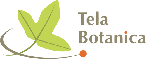 logo_tela_bonica