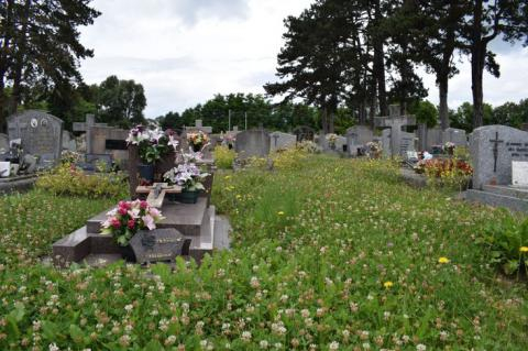 Cimetière Besançon