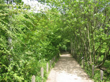 Coulée verte Colombes
