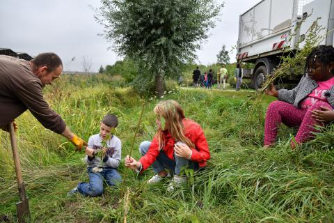 La nature source de solution