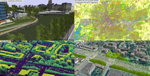 L'ARBRE POUR ADAPTER LA VILLE AU CHANGEMENT CLIMATIQUE
