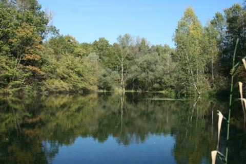 GESTION ÉCOLOGIQUE ET CLASSEMENT