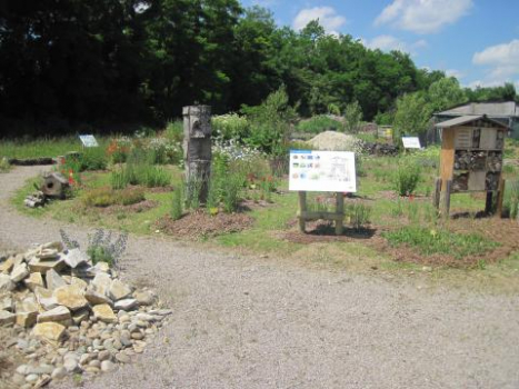 Saint-Louis site expérimentation