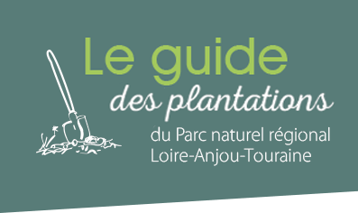 Guide des plantations