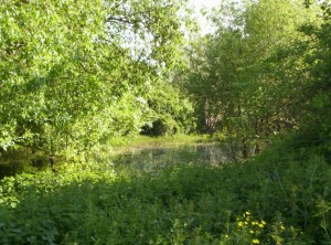 Réserve naturelle Mesnil