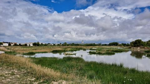 La Rochelle Marais de Tasdon