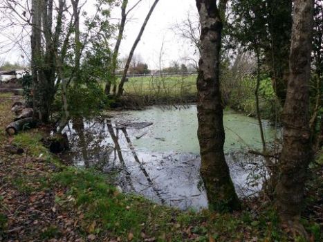 MISE EN ŒUVRE D'UN PLAN MARE DANS LE CADRE D'UN PARTENARIAT AVEC L'AGROCAMPUS DE SAINTONGE