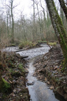 RENATURATION DU RUISSEAU DE BEAUME HAIE