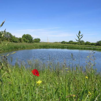 Reconquête Biodiversité Chartres 