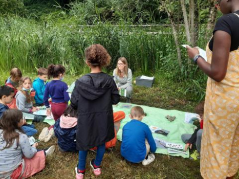 VALORISATION DES AMPHIBIENS D’ALBI AVEC UN GUIDE PÉDAGOGIQUE ET DES ACTIONS DE TERRAIN