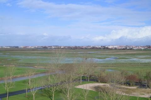 MARAIS DU TRANSBORDEUR