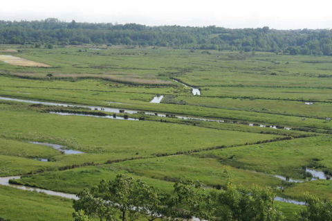 CONTRAT DE PROGRÈS MARAIS DE BROUAGE