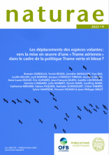 Les déplacements des espèces volantes : vers la mise en œuvre d’une « Trame aérienne » dans le cadre de la politique Trame verte et bleue ?