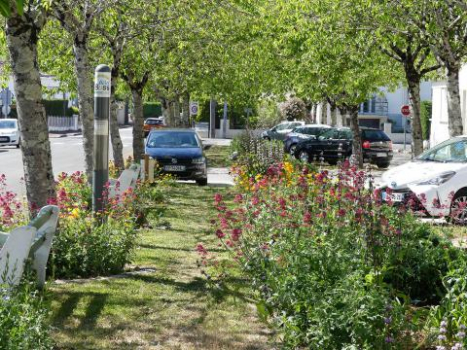 VERDISSONS LA VILLE, POUR DES RUES PAYSAGÈRES