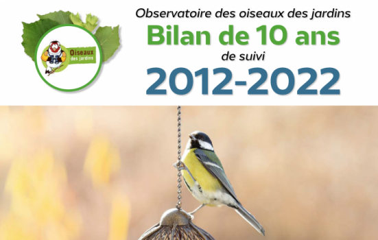 comptage des oiseaux 10 ans