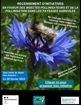 RECENSEMENT D’INITIATIVES POUR LES POLLINISATEURS DES PAYSAGES AGRICOLES