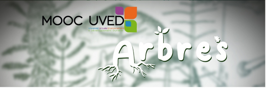 MOOC Arbres