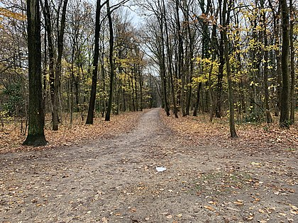 forêt de bondy