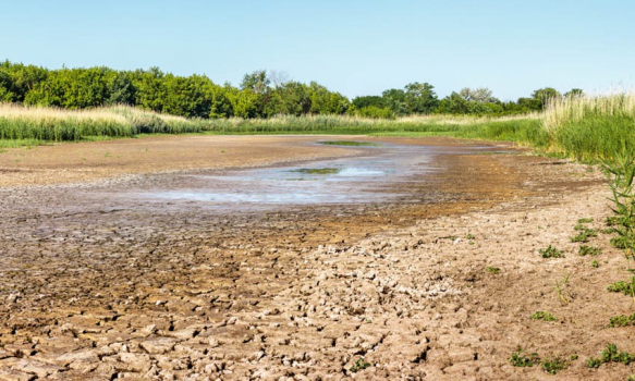 Guide sécheresse : "Mise en œuvre des mesures de restriction des usages de l'eau en période de sécheresse"